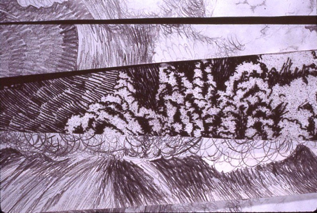 Mt. St. Helen's etching detail
